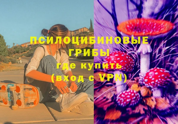 дурь Алексин