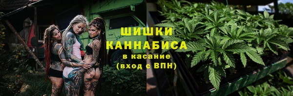 трава Алзамай