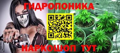 хмурый Аша