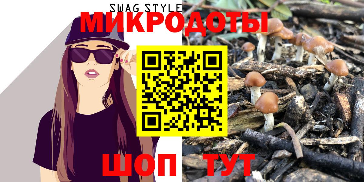 где найти наркотики  Вход с VPN  Большой Камень  Галлюциногенные грибы Psilocybe 