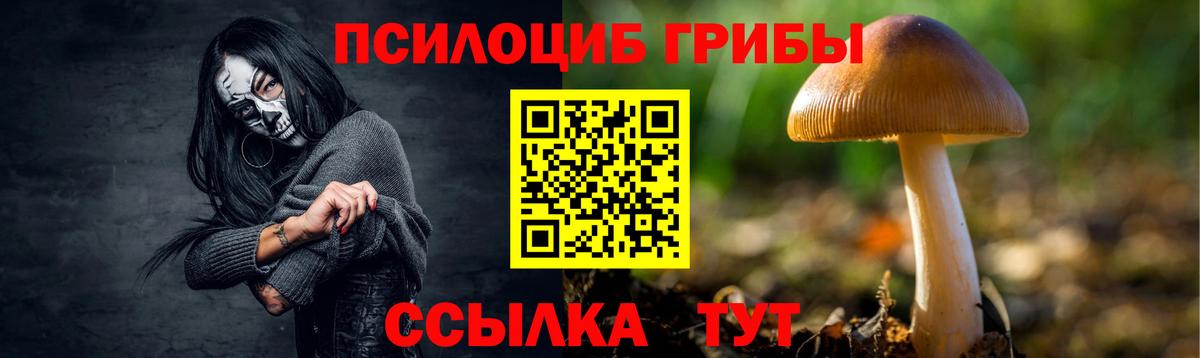Галлюциногенные грибы мухоморы Большой Камень